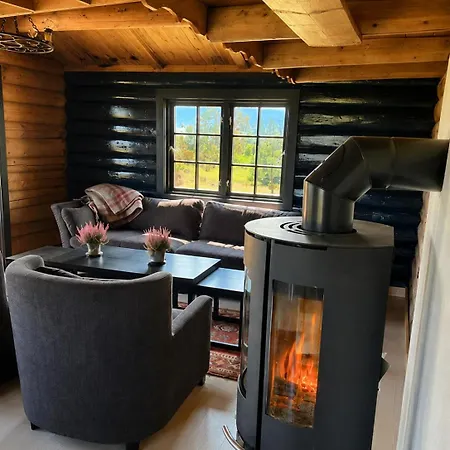 Traditional In Beautiful Surroundings In * Nesbyen